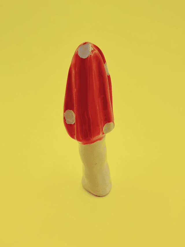 Presse Agrume Champignon  #PAch001