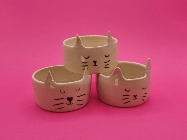 Bol chat