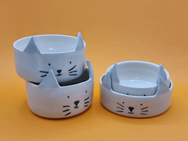 Bol chat